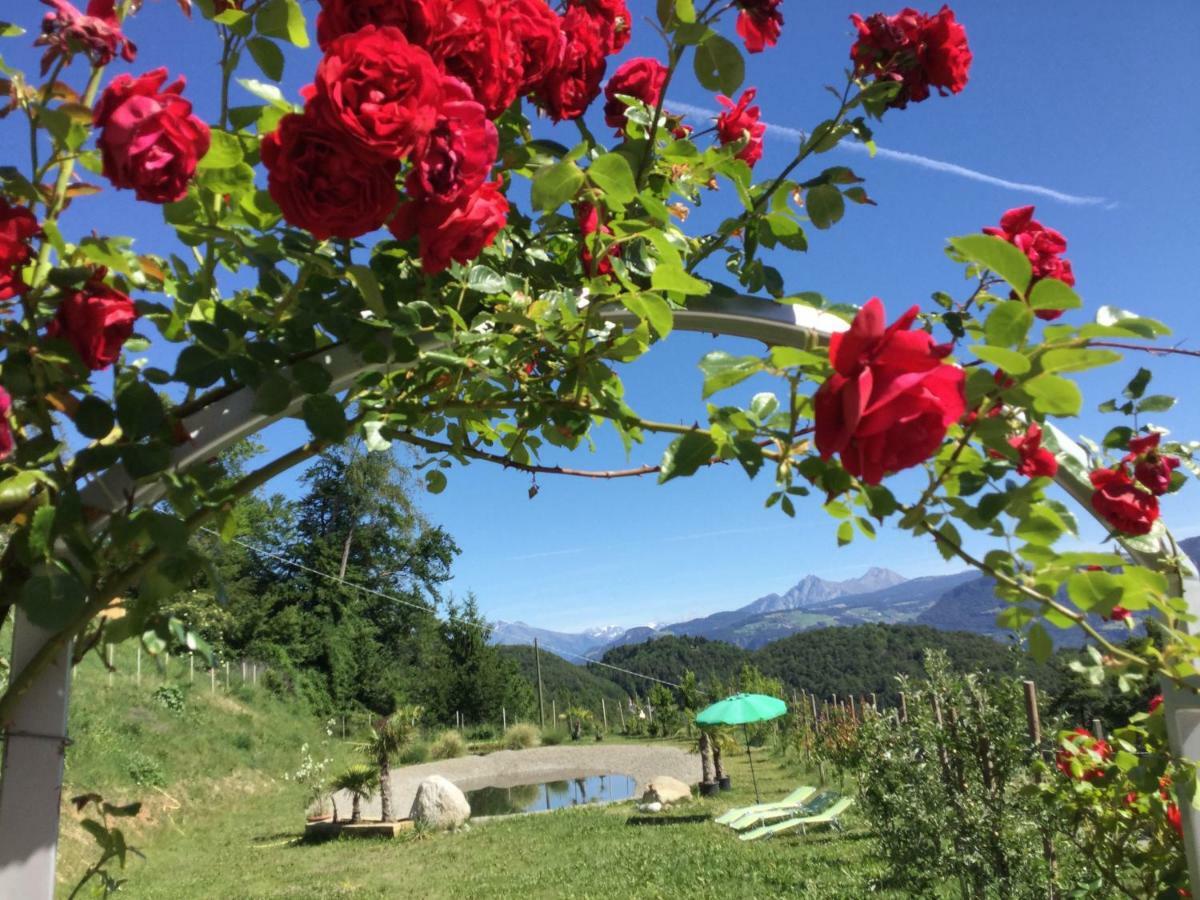 Apartmán Pichler-Hof Predonico Exteriér fotografie