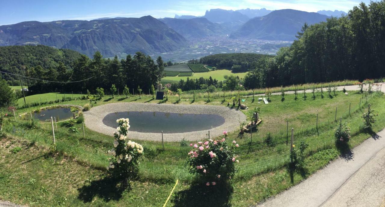 Apartmán Pichler-Hof Predonico Exteriér fotografie