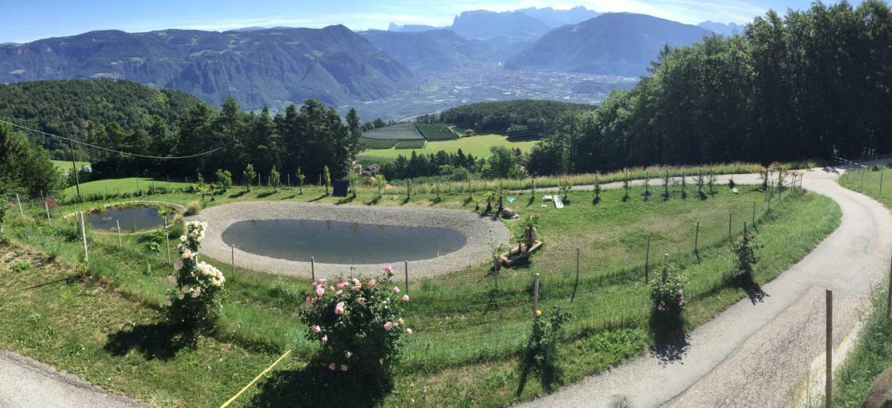Apartmán Pichler-Hof Predonico Exteriér fotografie